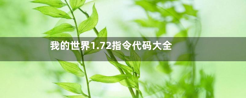 我的世界1.72指令代码大全