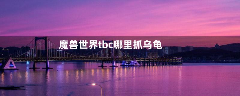 魔兽世界tbc哪里抓乌龟