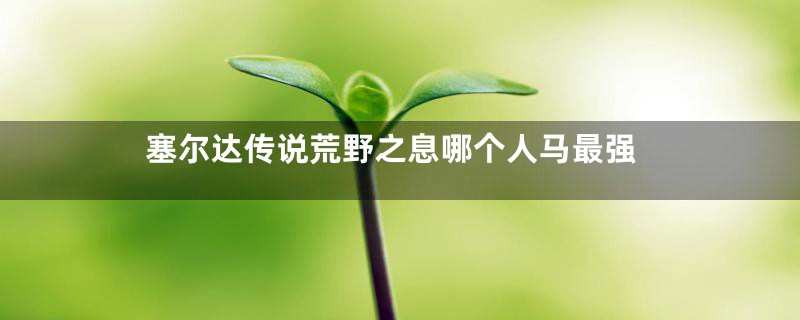 塞尔达传说荒野之息哪个人马最强