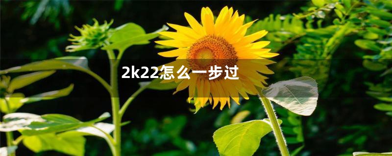 2k22怎么一步过