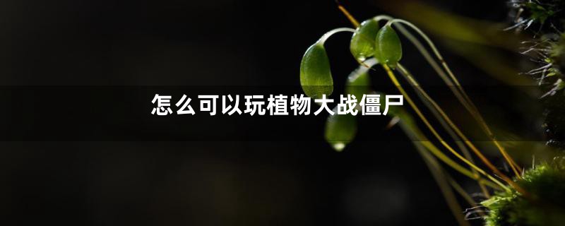 怎么可以玩植物大战僵尸