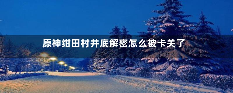 原神绀田村井底解密怎么被卡关了