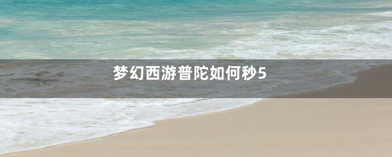 梦幻西游普陀如何秒5