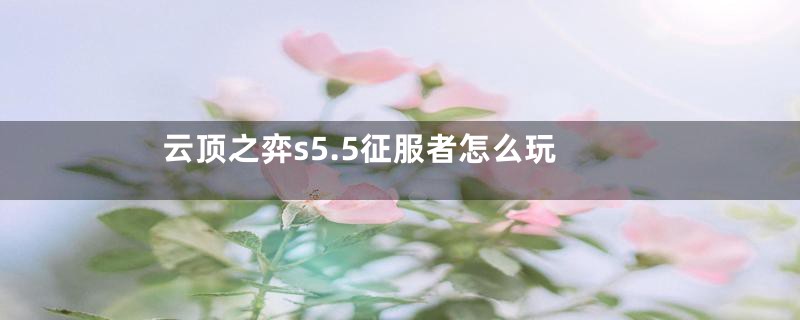 云顶之弈s5.5征服者怎么玩