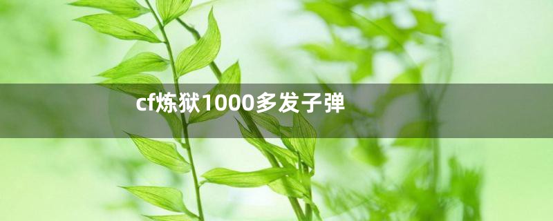 cf炼狱1000多发子弹