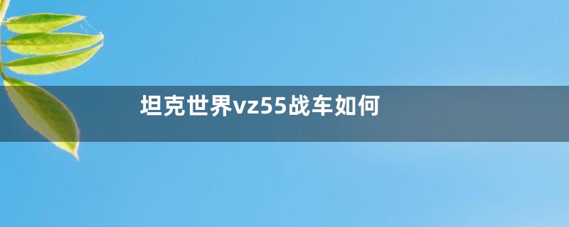 坦克世界vz55战车如何