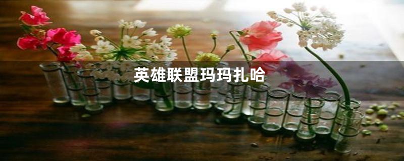 英雄联盟玛玛扎哈