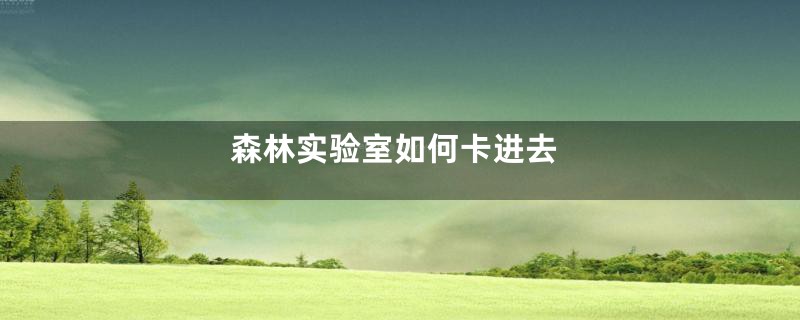 森林实验室如何卡进去