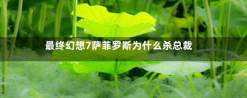 最终幻想7萨菲罗斯为什么杀总裁