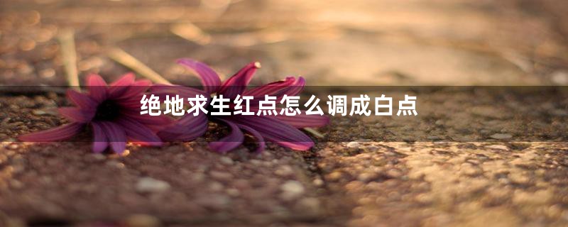 绝地求生红点怎么调成白点