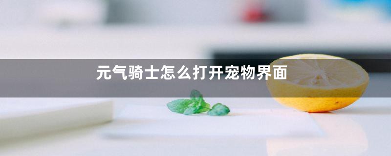 元气骑士怎么打开宠物界面