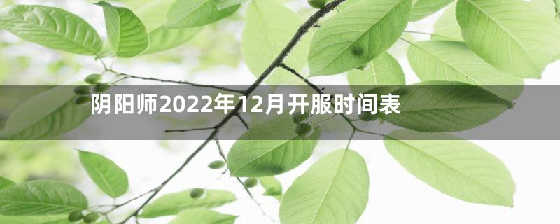 阴阳师2022年12月开服时间表