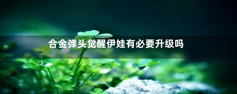 合金弹头觉醒伊娃有必要升级吗