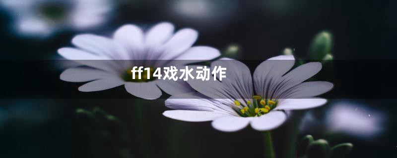 ff14戏水动作