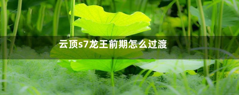 云顶s7龙王前期怎么过渡