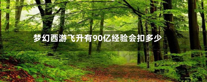 梦幻西游飞升有90亿经验会扣多少