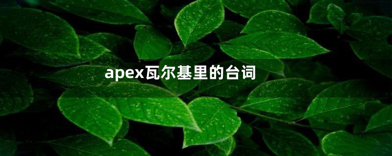 apex瓦尔基里的台词