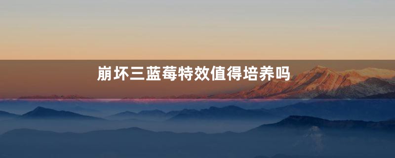 崩坏三蓝莓特效值得培养吗