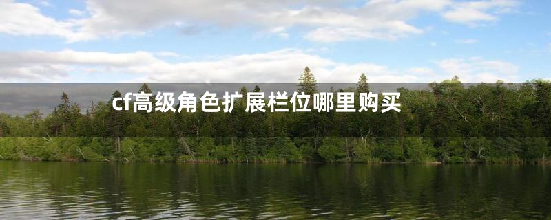 cf高级角色扩展栏位哪里购买