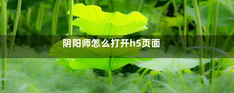 阴阳师怎么打开h5页面