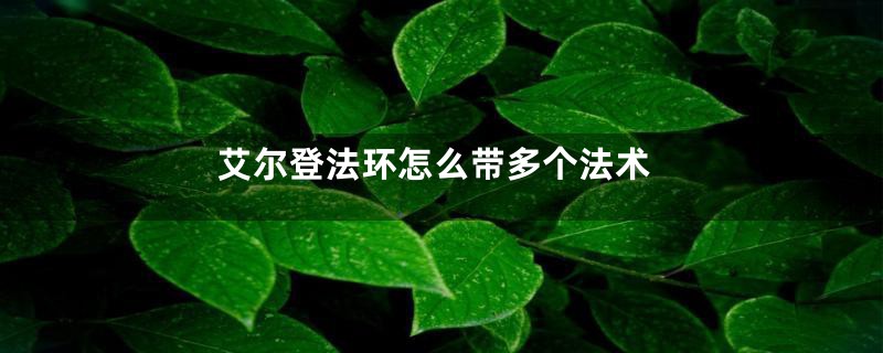 艾尔登法环怎么带多个法术