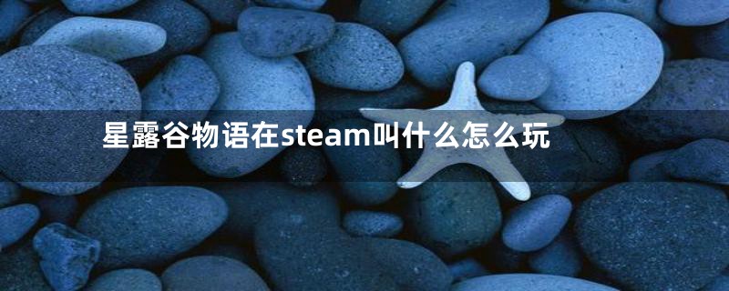 星露谷物语在steam叫什么怎么玩