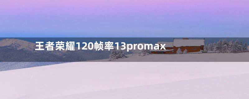 王者荣耀120帧率13promax