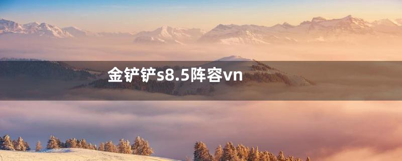 金铲铲s8.5阵容vn