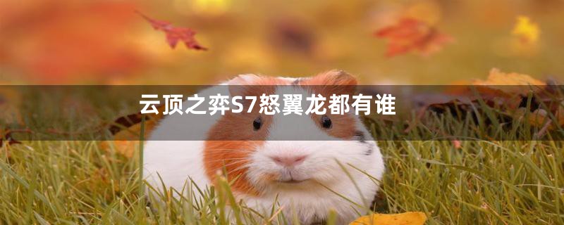 云顶之弈S7怒翼龙都有谁