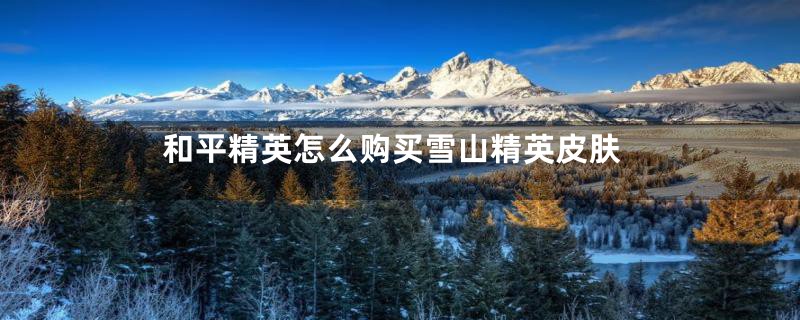 和平精英怎么购买雪山精英皮肤