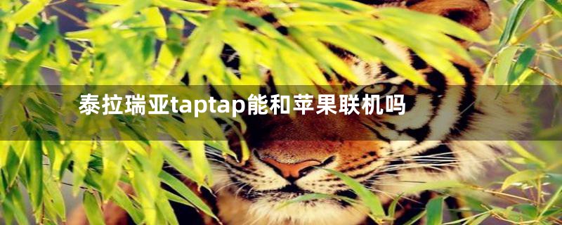 泰拉瑞亚taptap能和苹果联机吗