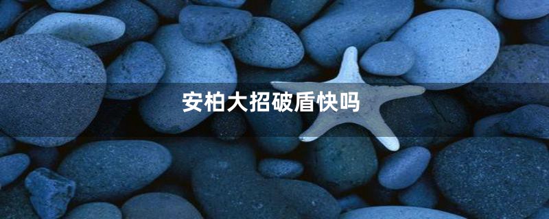 安柏大招破盾快吗