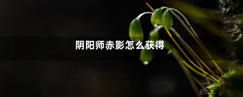 阴阳师赤影怎么获得