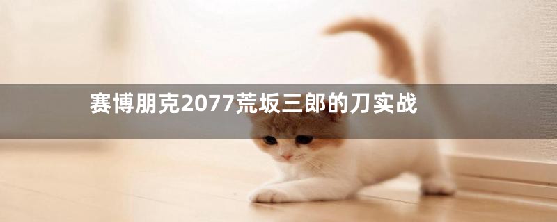 赛博朋克2077荒坂三郎的刀实战