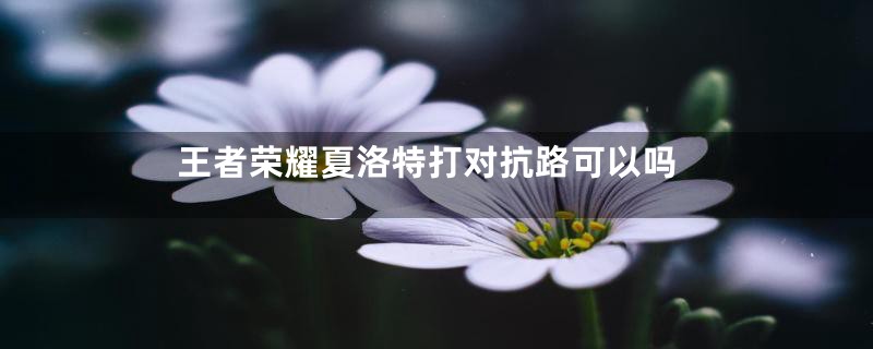 王者荣耀夏洛特打对抗路可以吗