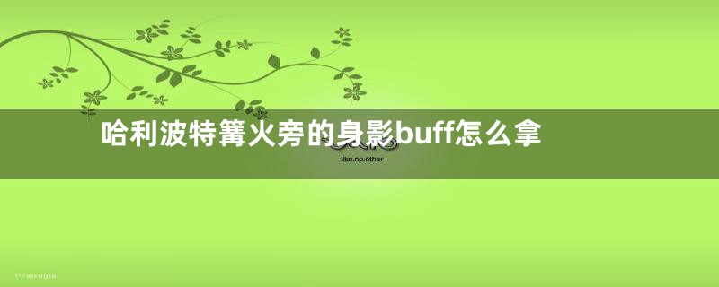 哈利波特篝火旁的身影buff怎么拿