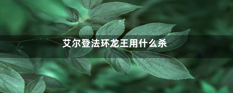 艾尔登法环龙王用什么杀