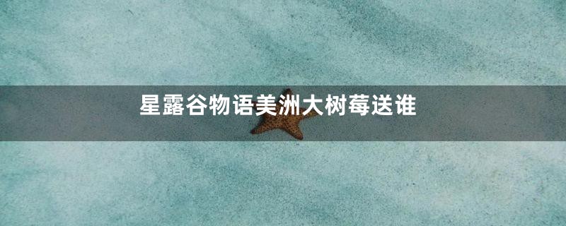 星露谷物语美洲大树莓送谁