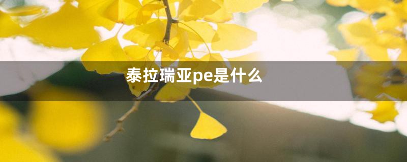 泰拉瑞亚pe是什么