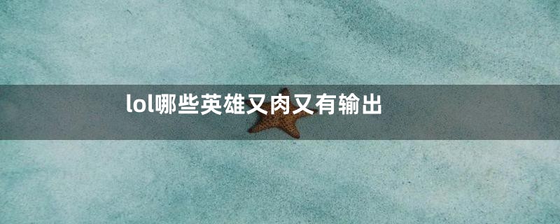 lol哪些英雄又肉又有输出