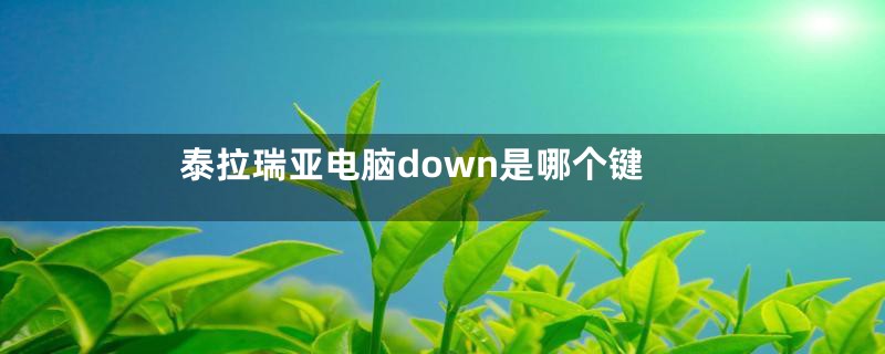 泰拉瑞亚电脑down是哪个键