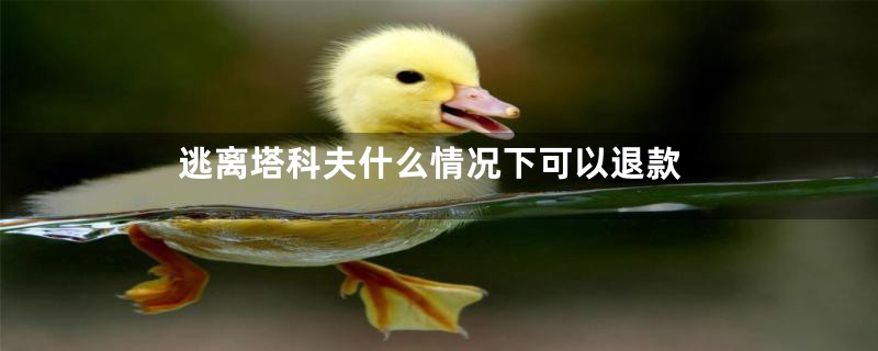 逃离塔科夫什么情况下可以退款