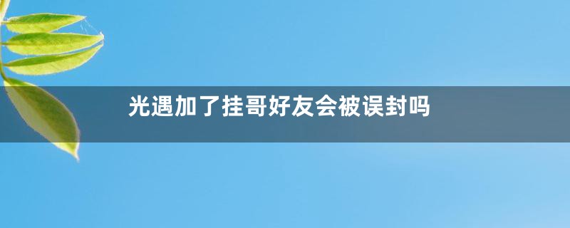 光遇加了挂哥好友会被误封吗