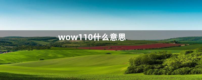 wow110什么意思