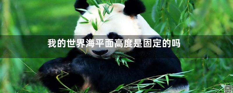 我的世界海平面高度是固定的吗