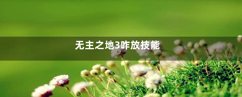 无主之地3咋放技能