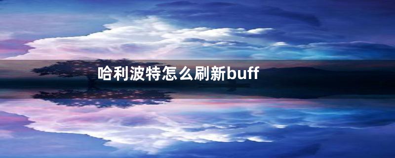 哈利波特怎么刷新buff