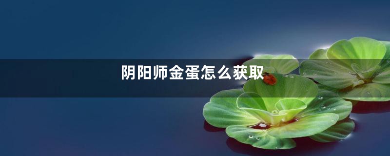 阴阳师金蛋怎么获取