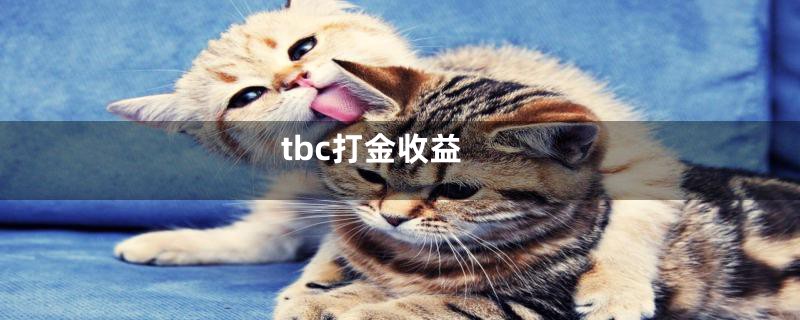 tbc打金收益