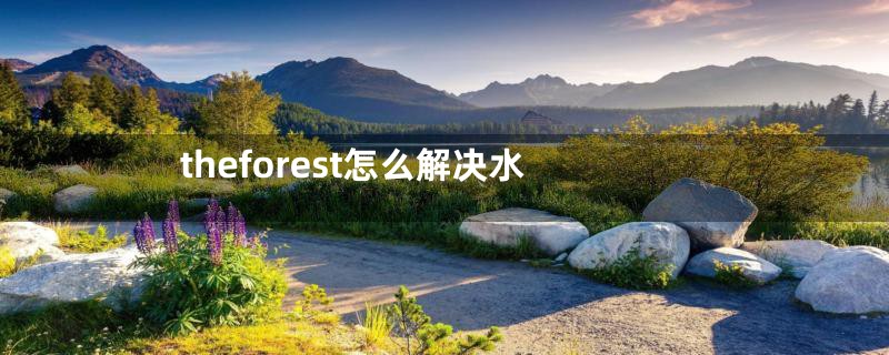 theforest怎么解决水